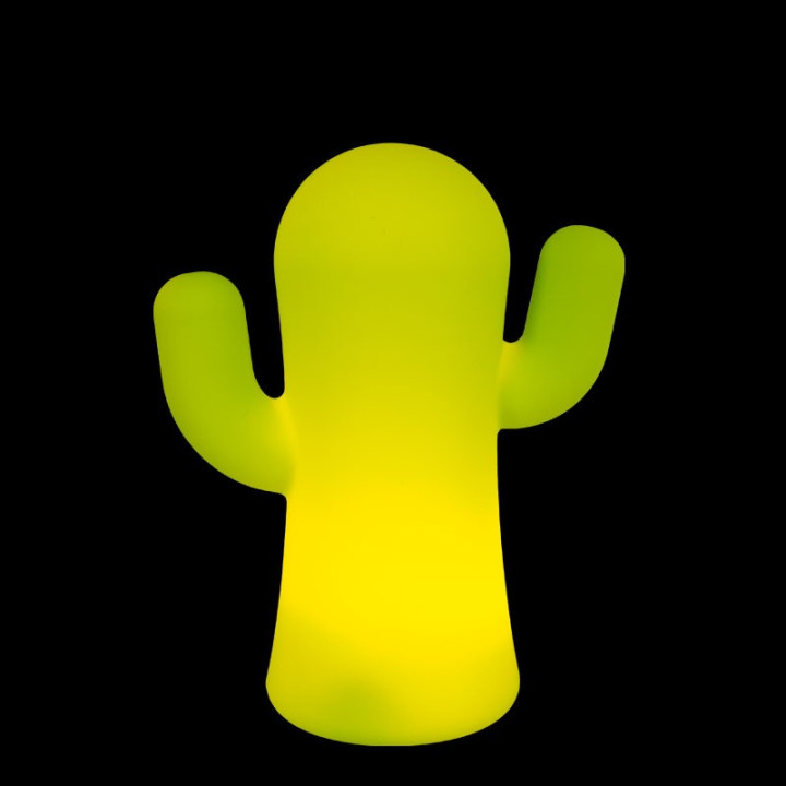 Cactus lumineux - PANCHITO - Newgarden