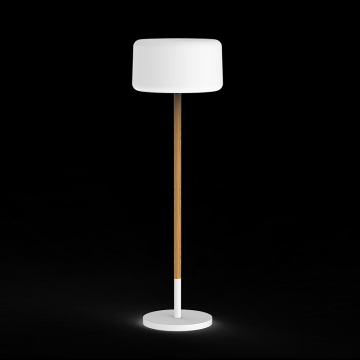 Lampadaire solaire rechargeable à poser ou à planter - CHLOE PLANT - Newgarden