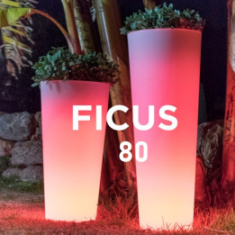 Pot de fleur lumineux - FICUS 80 - Newgarden