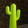 Cactus lumineux - Pancho - Newgarden