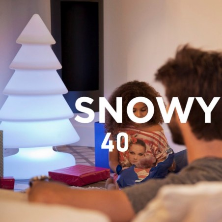 Sapin lumineux - SNOWY 40 - Newgarden