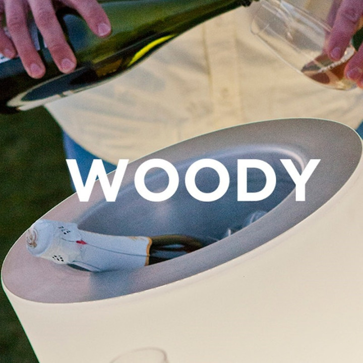 Seau à glace & enceinte - WOODY-PLAY - Newgarden